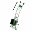 Nume implicit